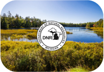 Michigan Department of Natural Resources logo. Background of lake surrounded by green trees.